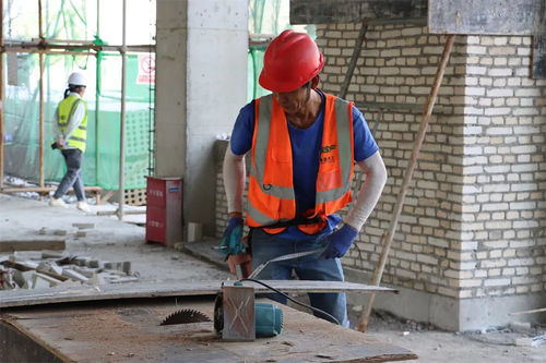 昌江海垦果蔬西部食品加工厂项目稳步推进，力争早日建成达效